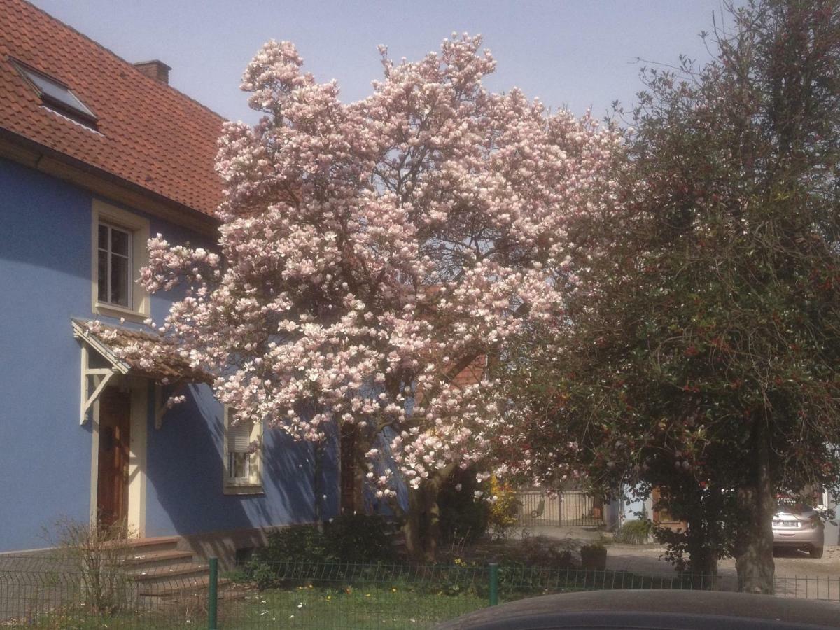 Maison des écluses Strasbourg F3 90m2 Jacuzzi Climatisation Exterior foto